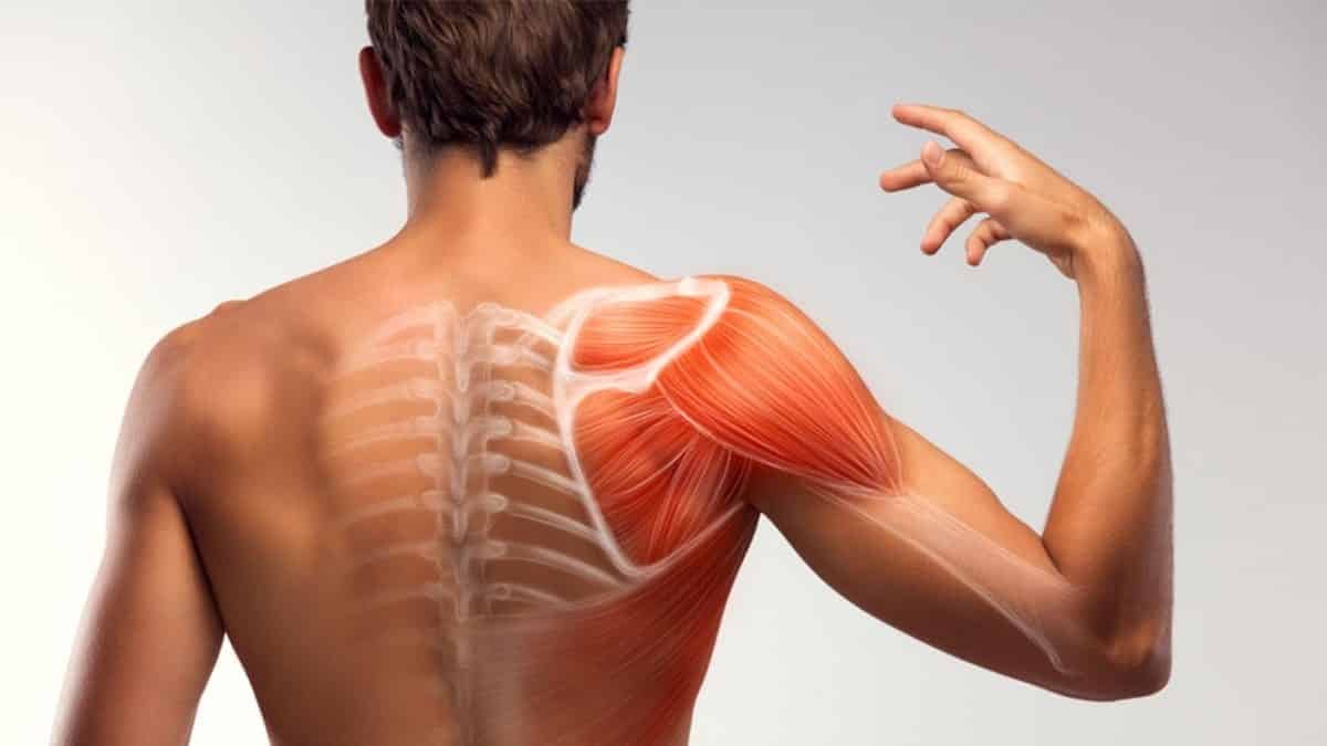 Kürek Kemiği Ağrısı Neden Olur? Kürek Kemiği Ağrısının Nedenleri ve Fizyoterapi
